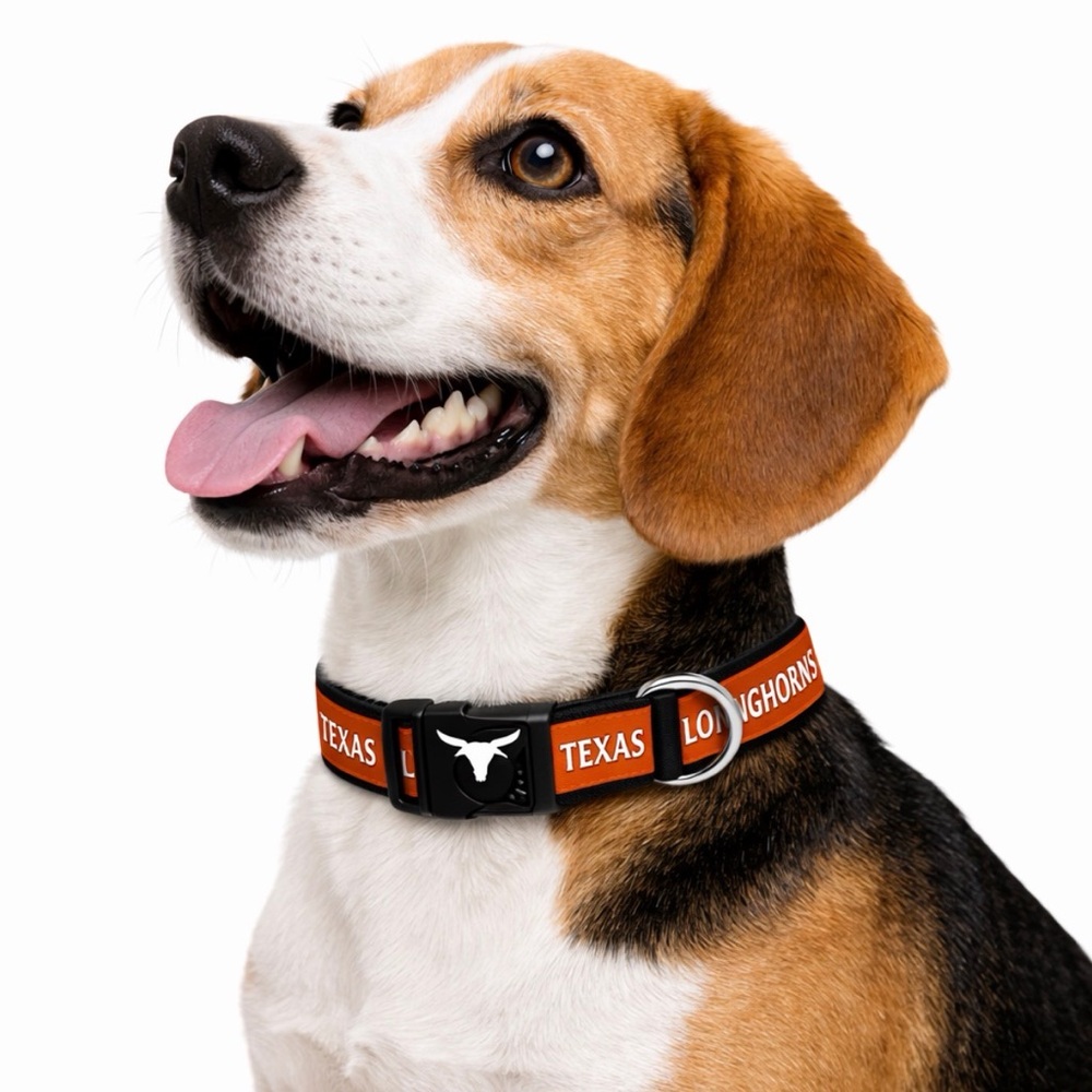 Dog Collar size Medium 12-18” Texas Longhorns NCAA New(F131)✨